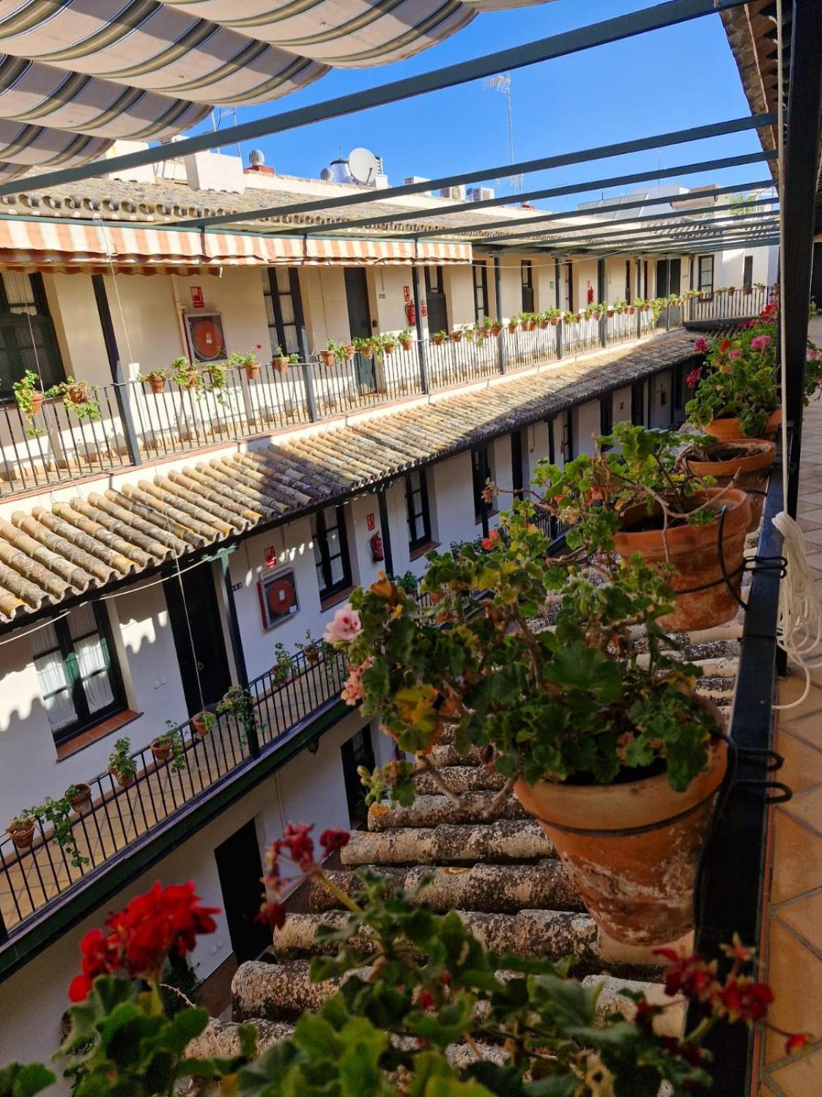 Patio Cartuja Διαμέρισμα Σεβίλλη Εξωτερικό φωτογραφία