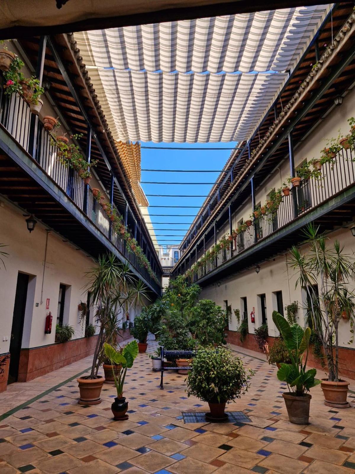 Patio Cartuja Διαμέρισμα Σεβίλλη Εξωτερικό φωτογραφία