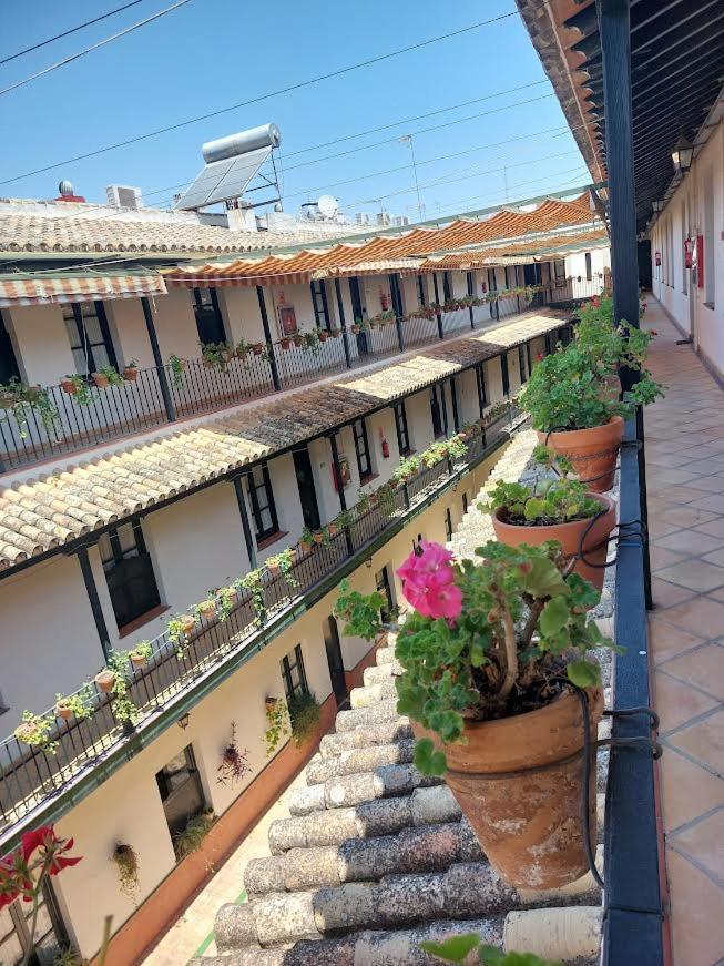 Patio Cartuja Διαμέρισμα Σεβίλλη Εξωτερικό φωτογραφία